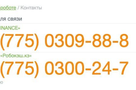 Как позвонить в займер